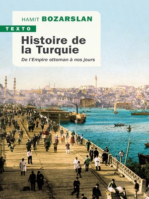 cover image of Histoire de la Turquie